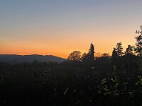 IMG 8756-2