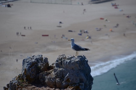 Portogallo luglio 2014